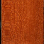 Leopardwood Lumber