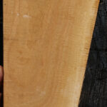 Extra Fancy Eucalyptus Micro Lumber