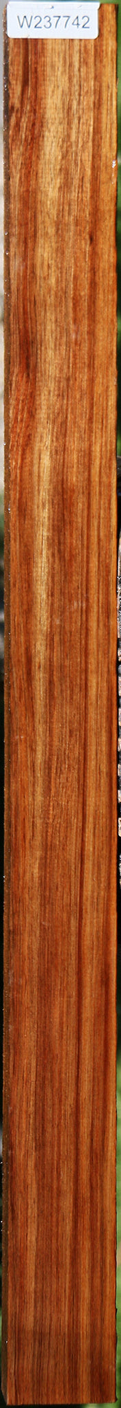 237742_1_a0d40502-f3f4-4d0b-87d0-7d76cb2add63 Tasmanian Blackwood Lumber - Image 1