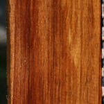 Tasmanian Blackwood Lumber