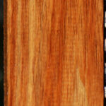 Tasmanian Blackwood Lumber