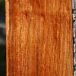 Figured Tasmanian Blackwood Lumber