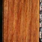 Tasmanian Blackwood Lumber