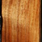 Figured Tasmanian Blackwood Lumber