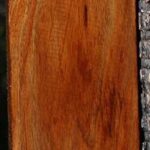 Tasmanian Blackwood Lumber