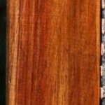 Figured Tasmanian Blackwood Lumber