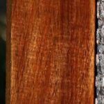Figured Tasmanian Blackwood Lumber