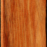 Tasmanian Blackwood Lumber
