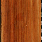 Figured Tasmanian Blackwood Lumber