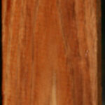 Tasmanian Blackwood Lumber