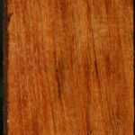 Figured Tasmanian Blackwood Lumber