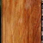 Tasmanian Blackwood Lumber