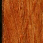 Tasmanian Blackwood Lumber