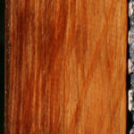 Tasmanian Blackwood Lumber