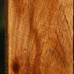 Tasmanian Blackwood Lumber