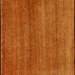Figured Tasmanian Blackwood Lumber