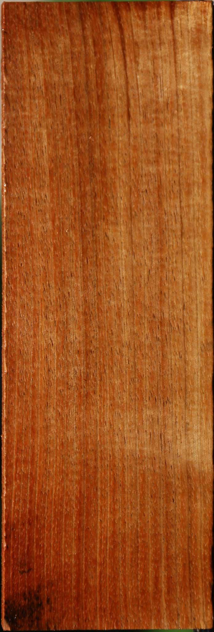 237804_1_6eefdef9-1ac8-4ab3-b41f-2e0ae5e4702f Figured Tasmanian Blackwood Lumber - Image 1