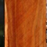 Tasmanian Blackwood Lumber
