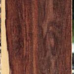 Extra Fancy Brazilian Ebony Micro Lumber