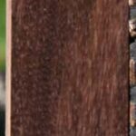 Brazilian Ebony Lumber