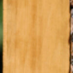 Castello Boxwood Lumber