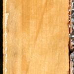 Castello Boxwood Lumber