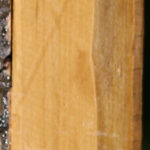 Castello Boxwood Lumber