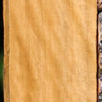 Extra Fancy Castello Boxwood Lumber