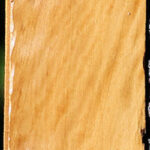 Extra Fancy Castello Boxwood Lumber