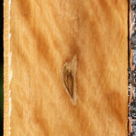 Extra Fancy Castello Boxwood Lumber