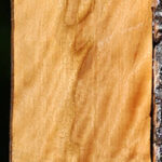 Extra Fancy Castello Boxwood Micro Lumber