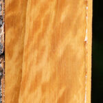 Extra Fancy Castello Boxwood Lumber