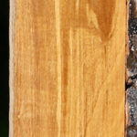 Figured Castello Boxwood Lumber