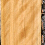 Extra Fancy Castello Boxwood Lumber