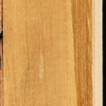Castello Boxwood Lumber
