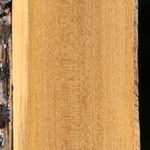 Castello Boxwood Lumber