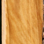 Extra Fancy Castello Boxwood Lumber