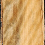 Extra Fancy Castello Boxwood Micro Lumber