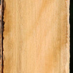 Extra Fancy Castello Boxwood Lumber