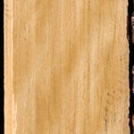 Figured Castello Boxwood Lumber