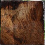 Figured Claro Walnut Bowl Blank