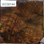 Claro Walnut Bowl Blank