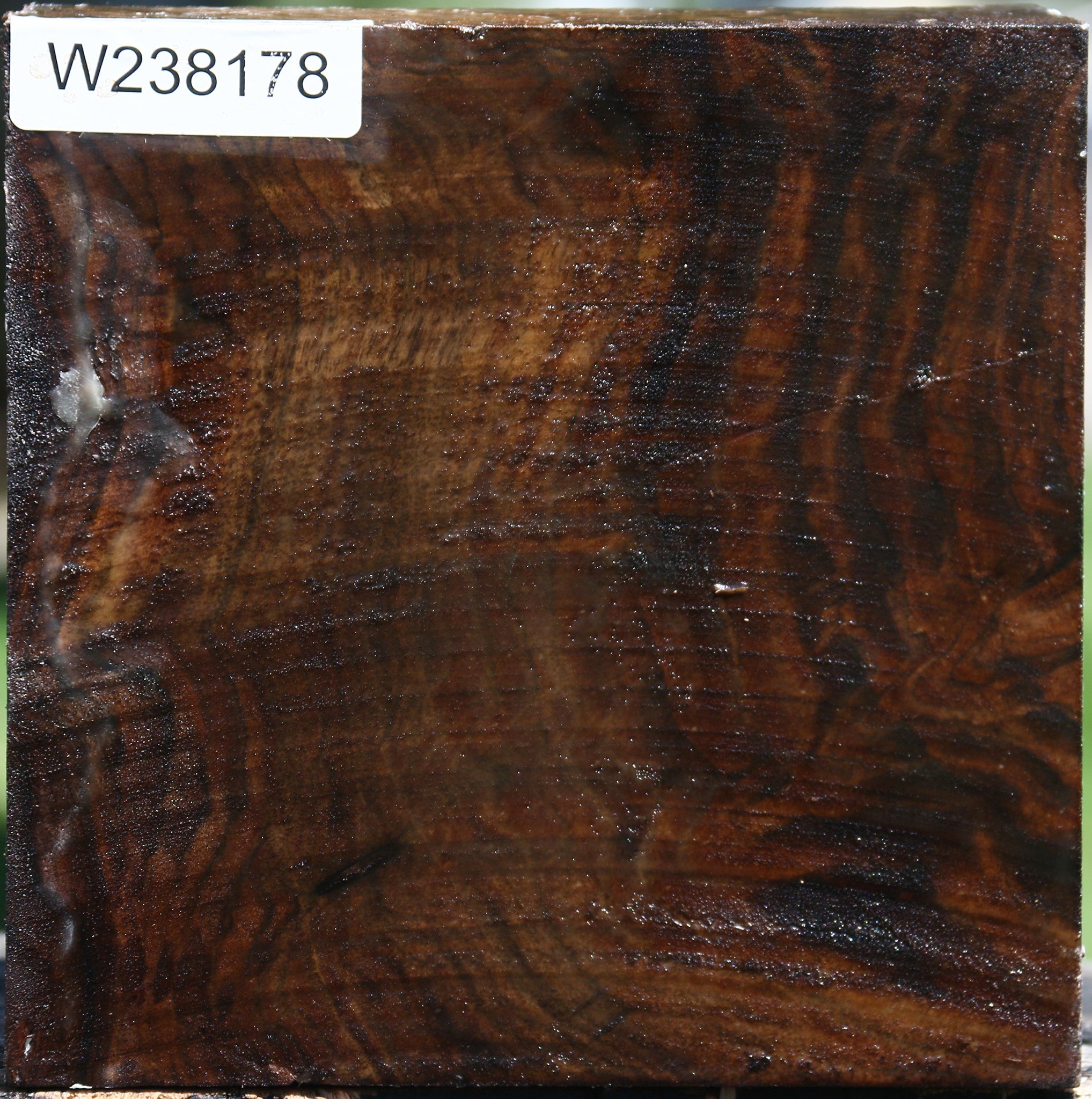 238178_1_2fff854e-c479-4f5f-a962-cff53ec93b6b Claro Walnut Bowl Blank - Image 1