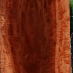 Exhibition Red Milkwood Slab
