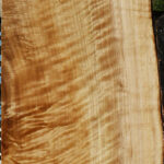 Extra Fancy Black Cottonwood Live Edge Lumber
