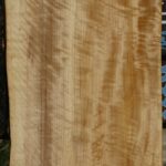 Extra Fancy Black Cottonwood Live Edge Lumber