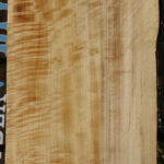 Extra Fancy Black Cottonwood Live Edge Lumber