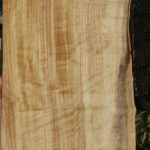 Extra Fancy Black Cottonwood Live Edge Lumber