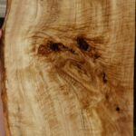 Extra Fancy Rustic Black Cottonwood Live Edge Lumber