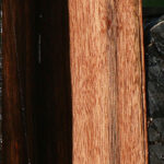 Figured Amara Ebony Micro Lumber